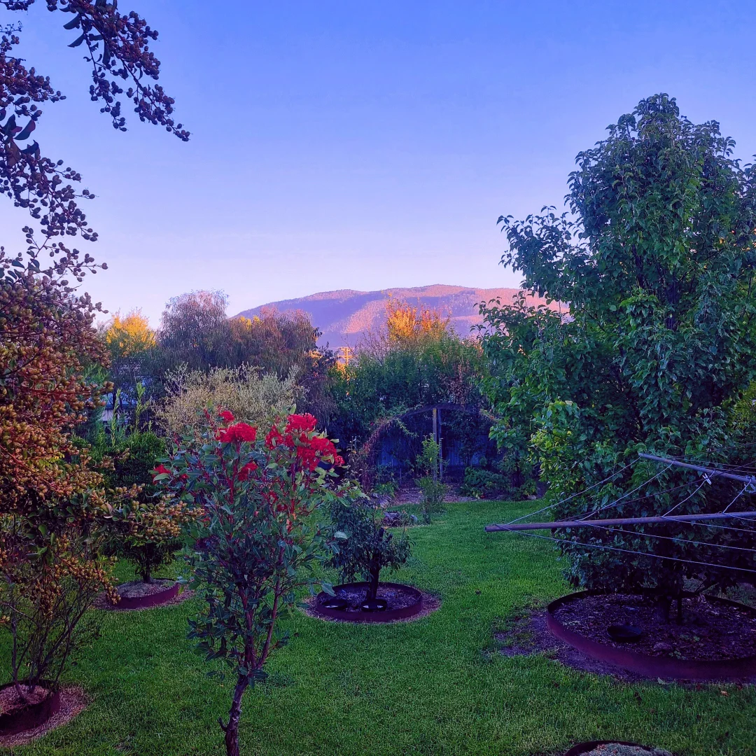 Additional image 4 of 90 Harris Street, Corryong VIC 3707