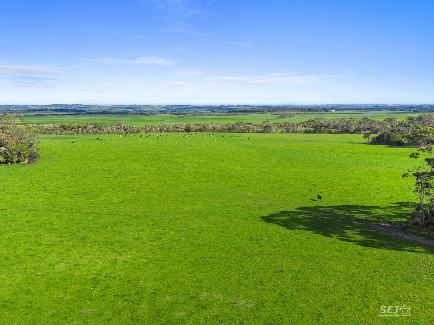 Additional image 6 of 115 Buffalo-Stony Creek Road, Buffalo VIC 3958