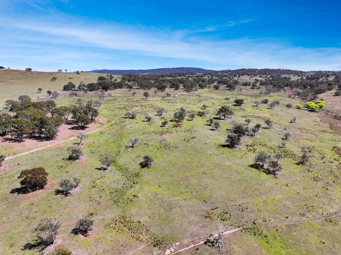 Additional image 32 of "Glenroy" Corrowong Road, Delegate NSW 2633