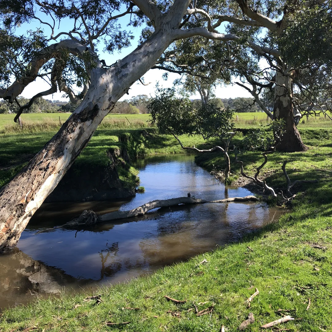 Additional image 9 of Lot 20 & 21 Newman Road, Charleston SA 5244