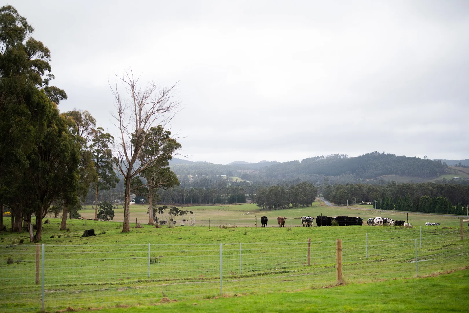 Additional image 25 of 29 Glengarry Road, Glengarry TAS 7275