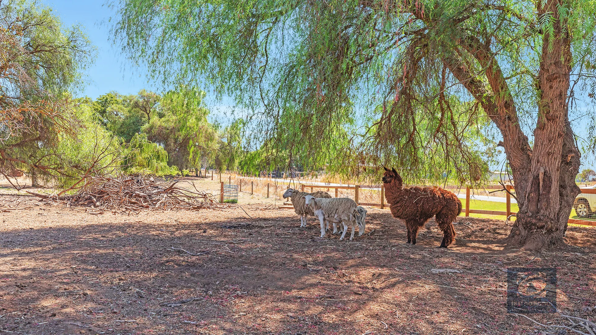 Additional image 7 of 1520 Simmie Road, Strathallan, Echuca VIC 3564