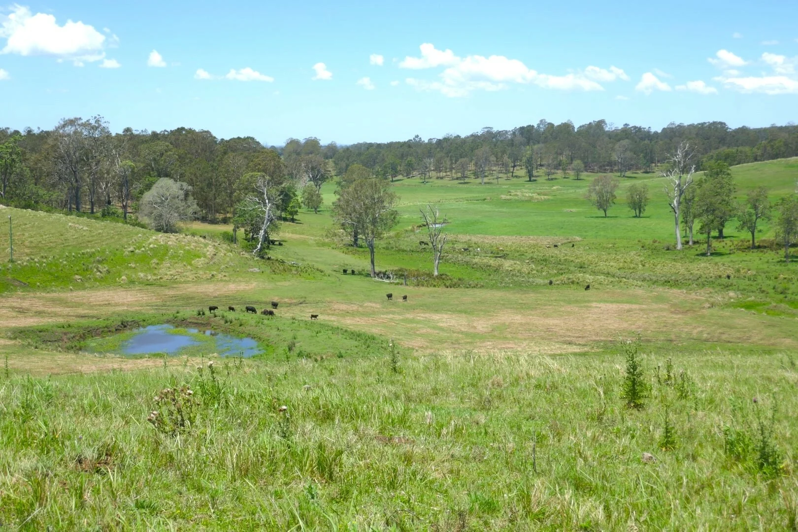 Additional image 9 of 600 Old Dyraaba Road, Casino NSW 2470