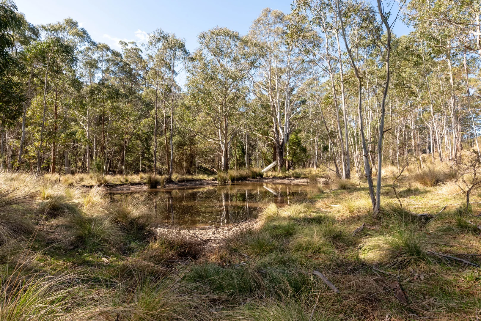 Additional image 15 of 153 Blue Bush Road, Wyanbene NSW 2622