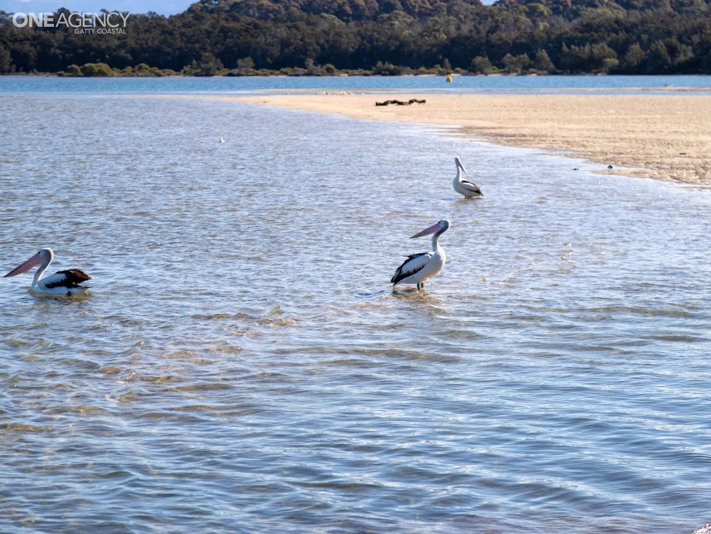 Additional image 9 of 62 Allenby Road, Tuross Head NSW 2537