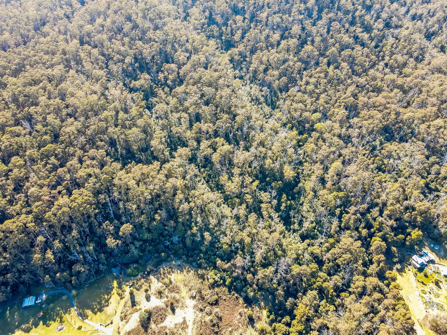 Additional image 7 of Curtis Rd, St Marys TAS 7215