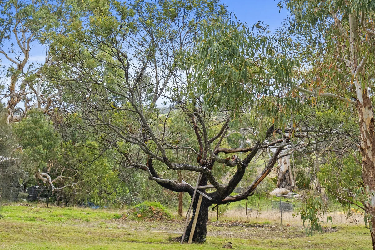 Additional image 25 of 7A Burgess Street, Swansea TAS 7190