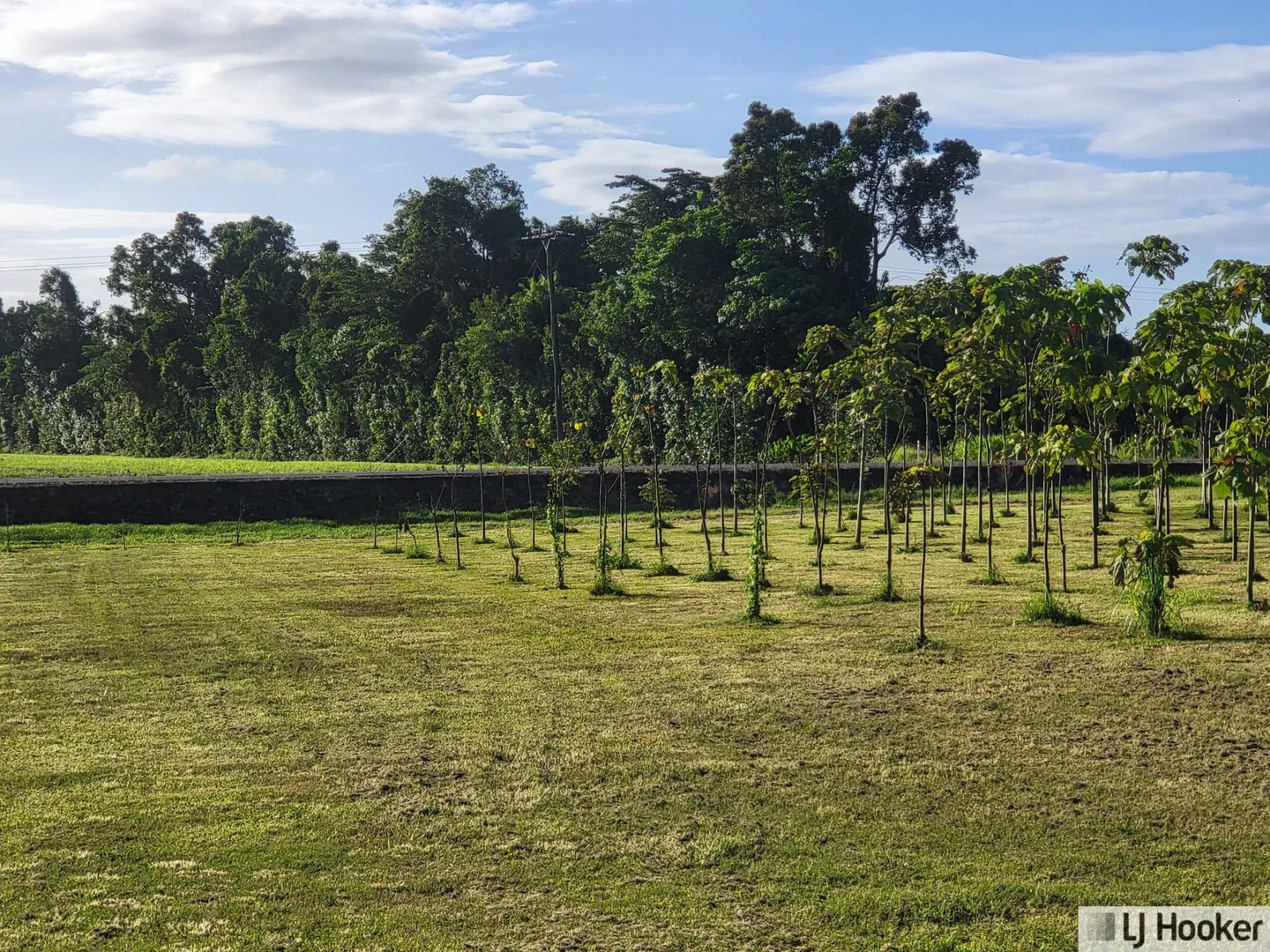 Additional image 4 of Lot 9 Andy Sorbello Road, Silky Oak QLD 4854