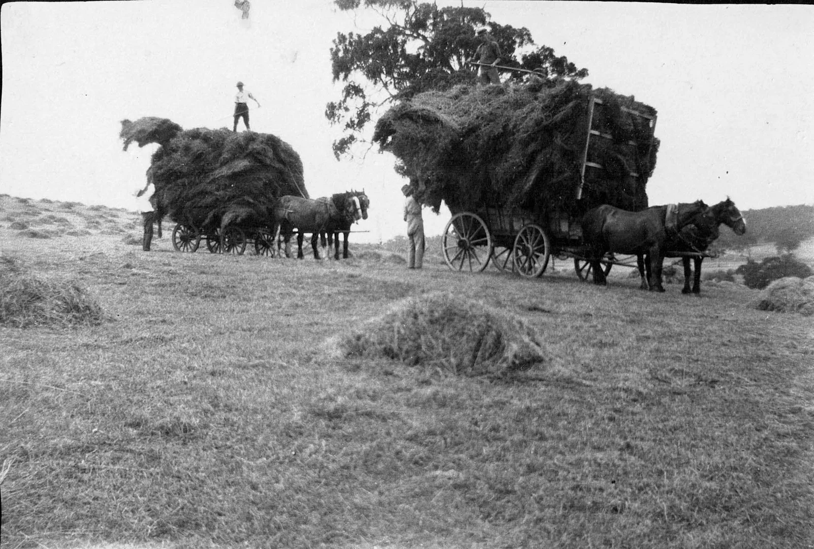 Additional image 13 of Lot 20 & 21 Newman Road, Charleston SA 5244