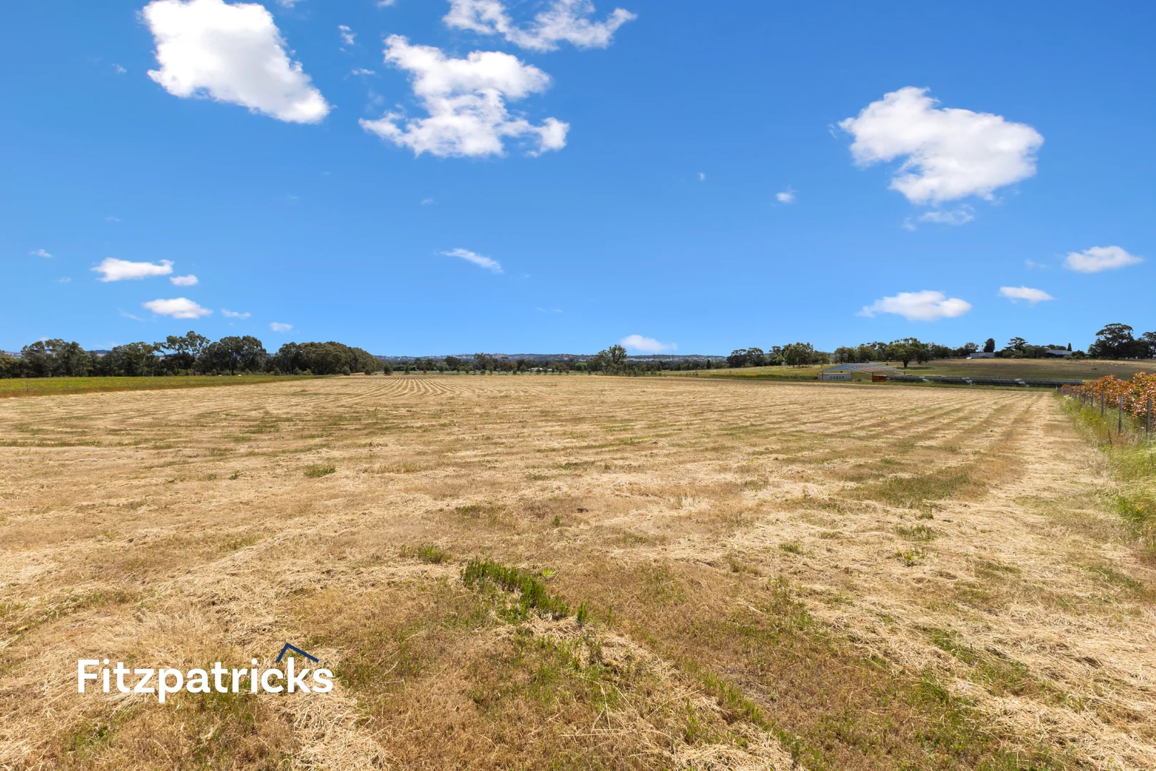 Additional image 4 of 139 Butterbush Road, Gregadoo NSW 2650