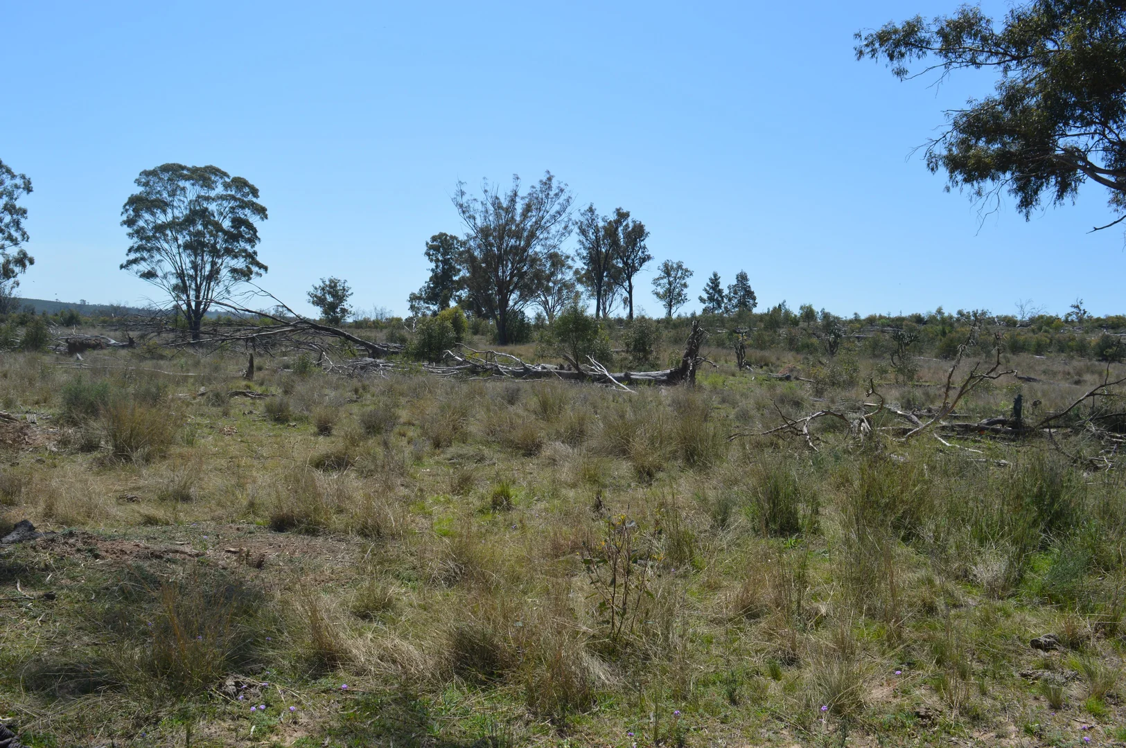 Additional image 18 of 3094 Mosquito Creek Road, Mosquito Creek QLD 4387