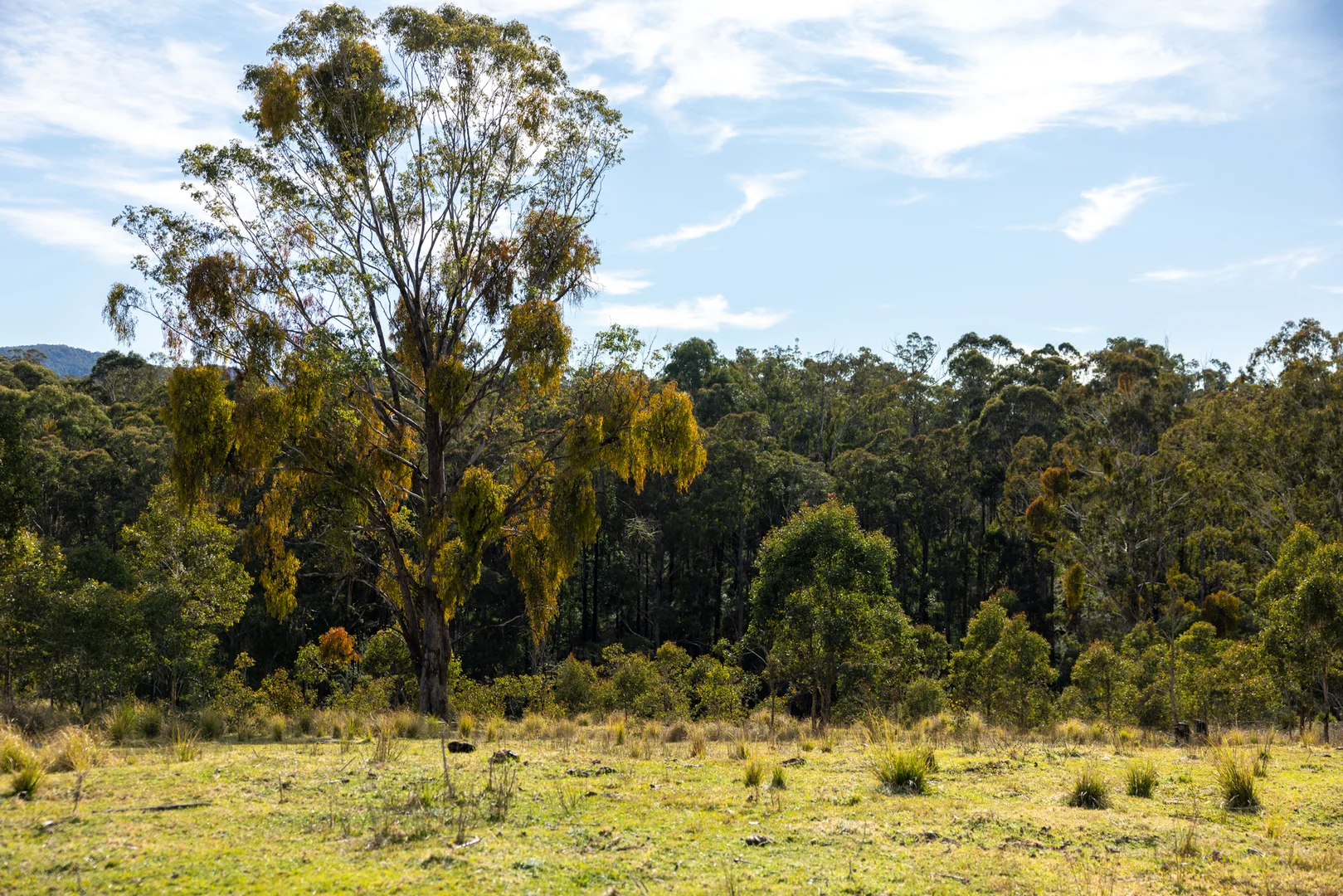 Additional image 5 of 3954 Tulloch Ard Road, Buchan VIC 3885