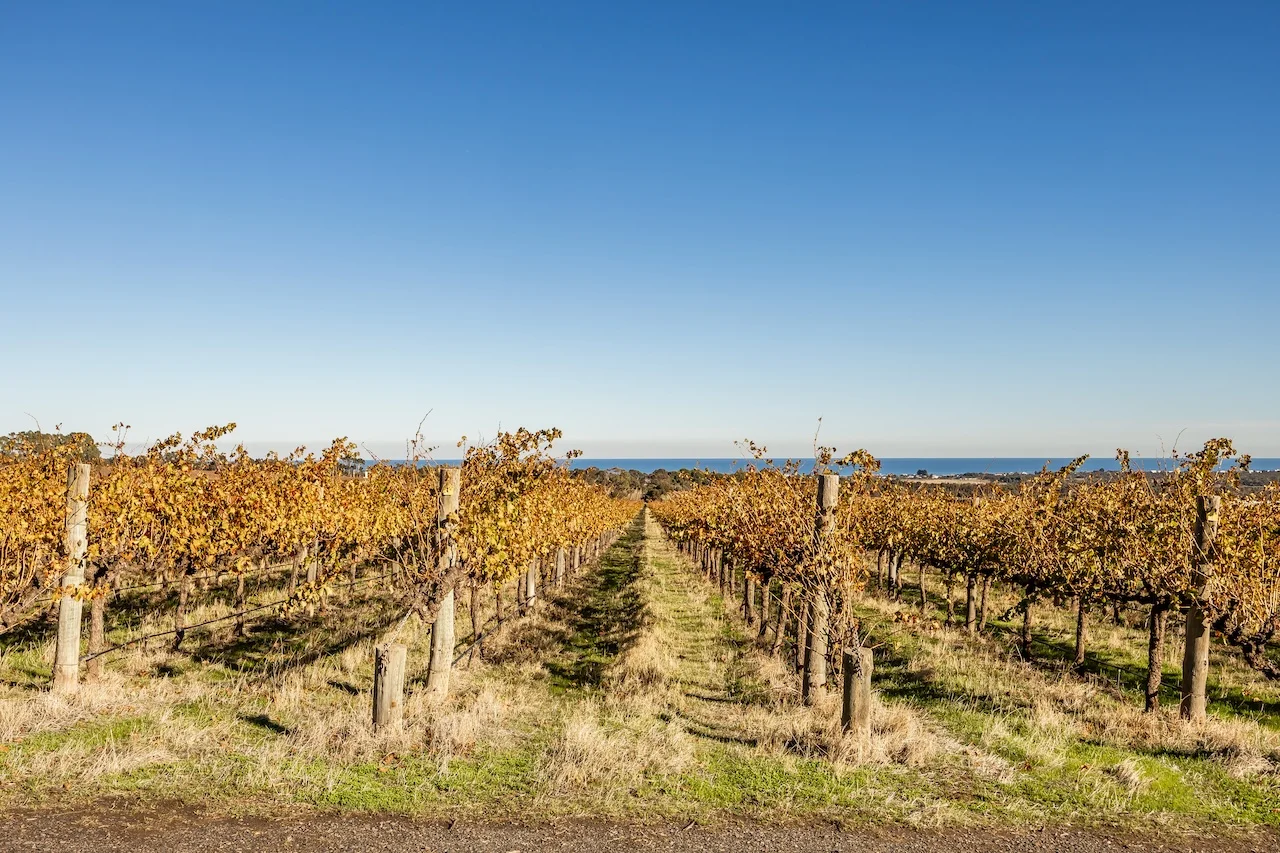 Additional image 16 of 428 Plains Road, Sellicks Hill SA 5174