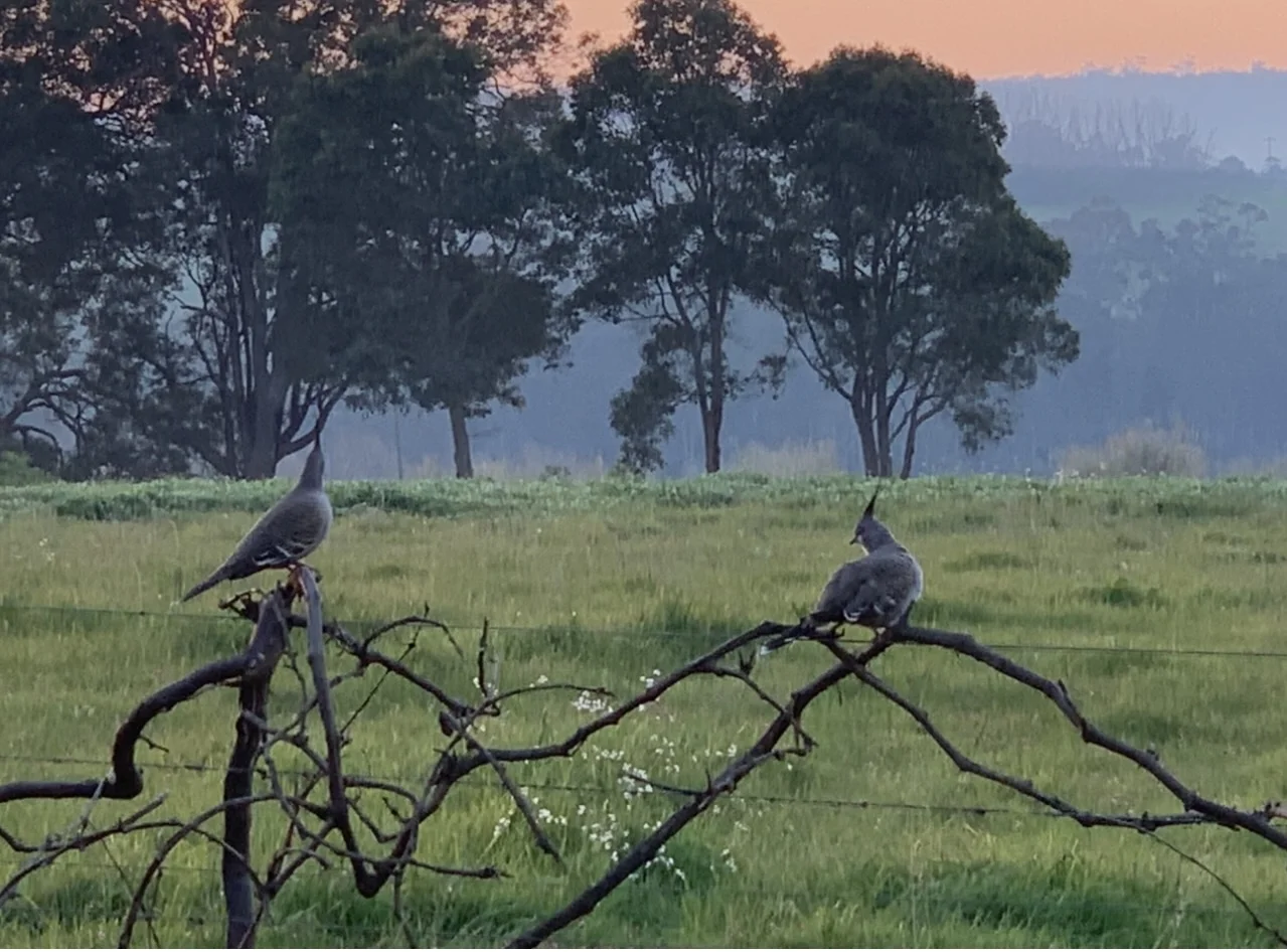 Additional image 15 of 20030 South Western Highway, Newlands WA 6251