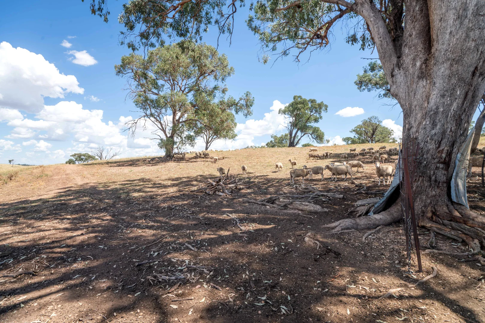 Additional image 13 of 1862 Euchareena Road, Euchareena NSW 2866