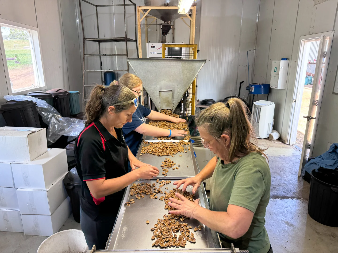 Additional image 9 of 43 Hearle Road, Mumballup WA 6225