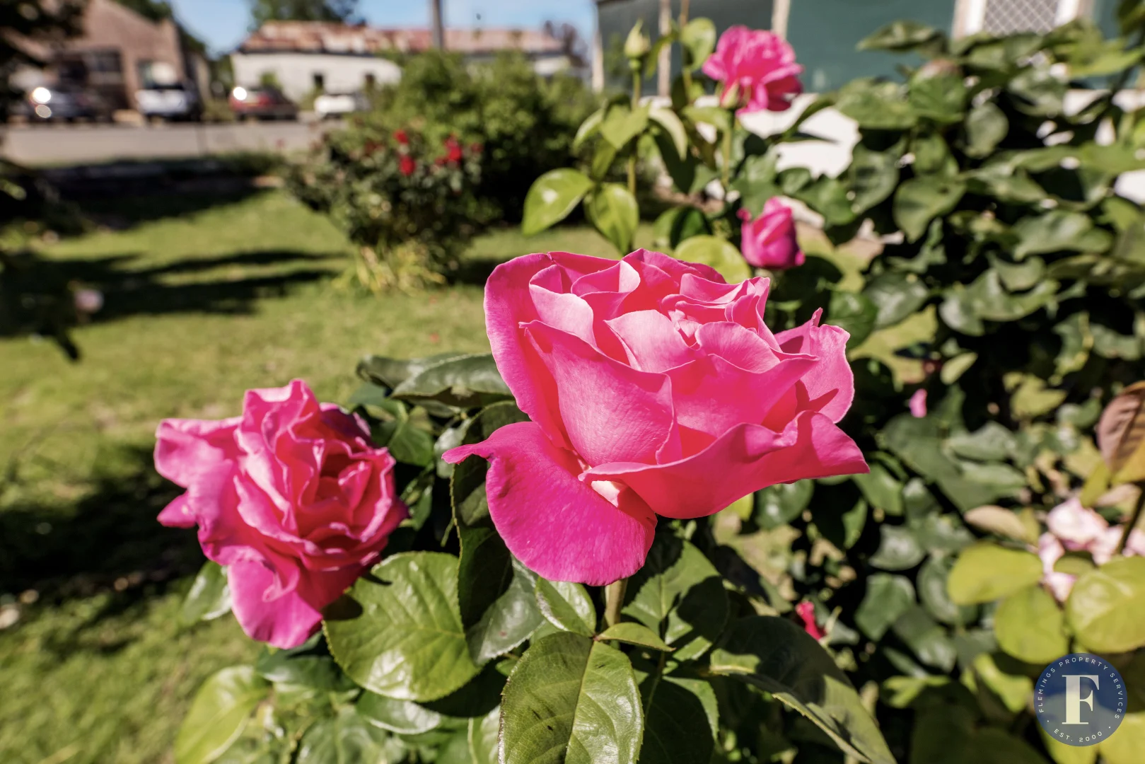 Additional image 18 of 61 Brial Street, Boorowa NSW 2586