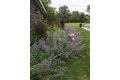 Additional image 14 of 126 Long Ln, East Hampton, NY, 11937