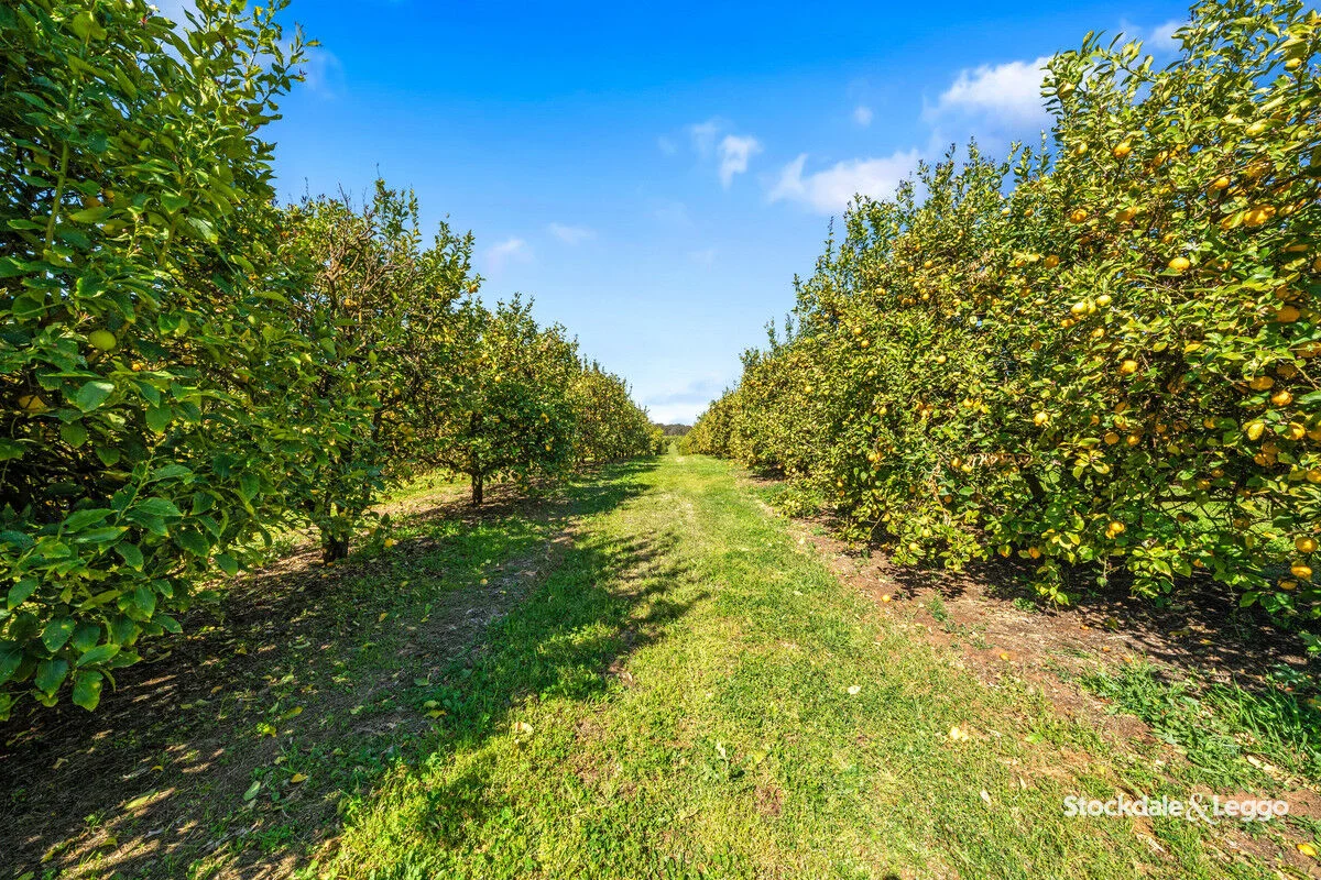 Additional image 26 of 154-198 Torgannah Road, Koonoomoo VIC 3644