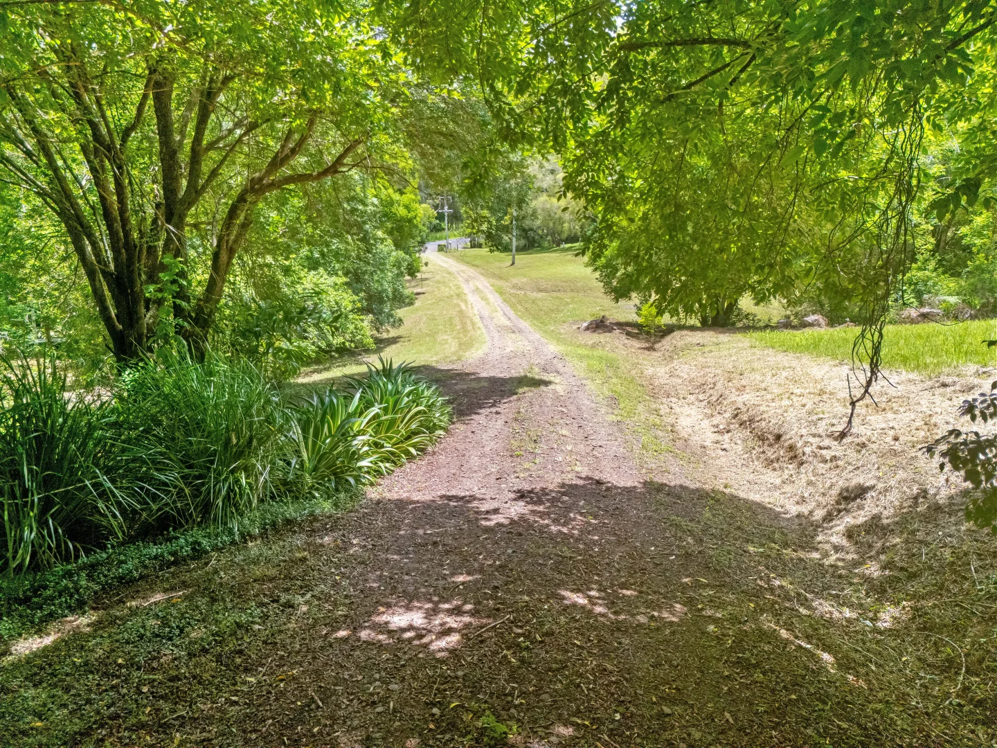 Additional image 29 of 346 The Channon Road, The Channon NSW 2480