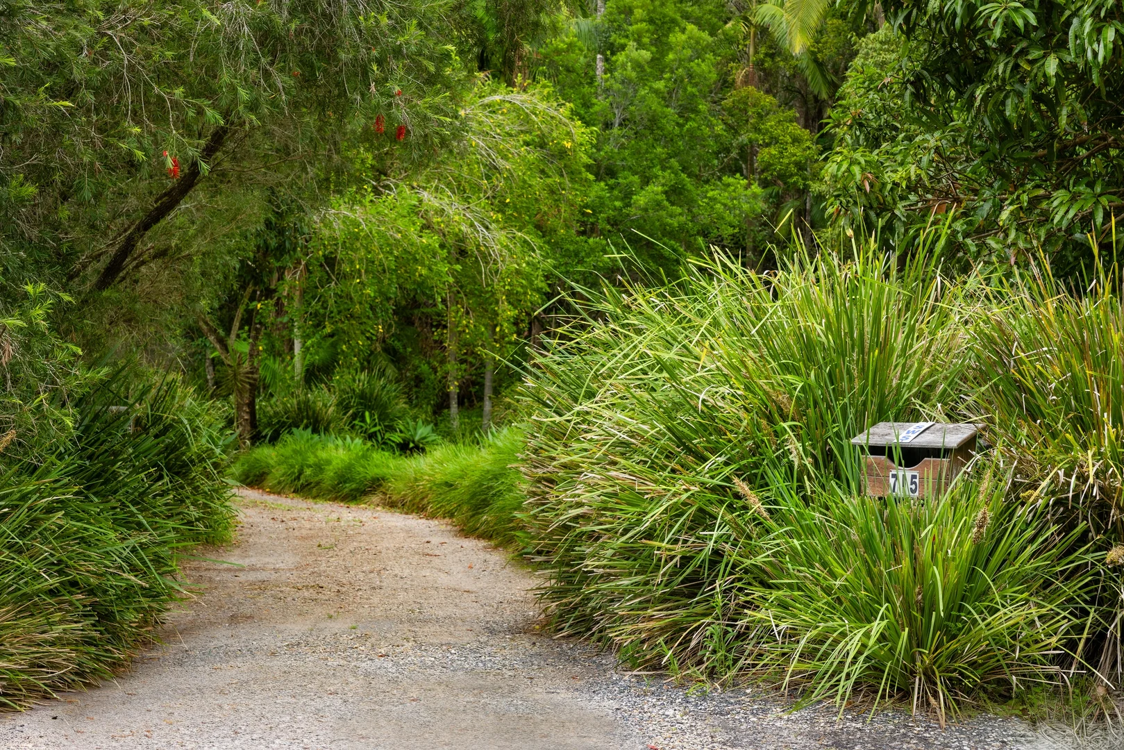 Additional image 31 of 715 Left Bank Road, Mullumbimby Creek NSW 2482