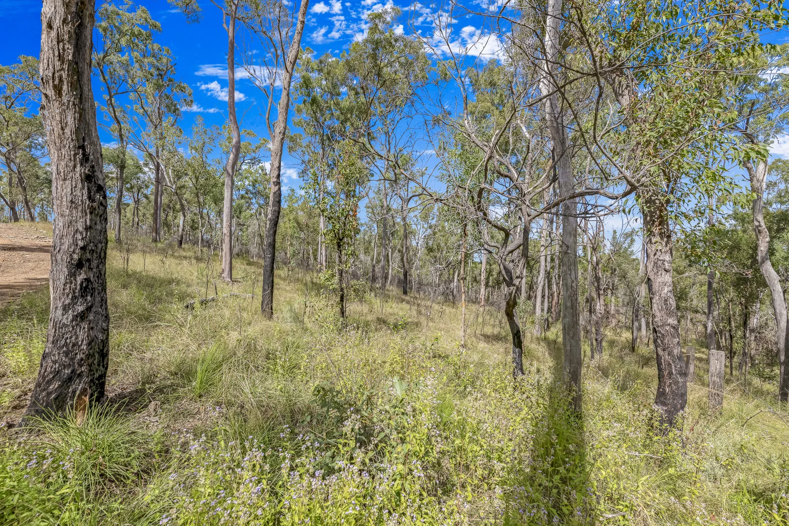 Additional image 6 of 151 Findlay Road, Duingal QLD 4671