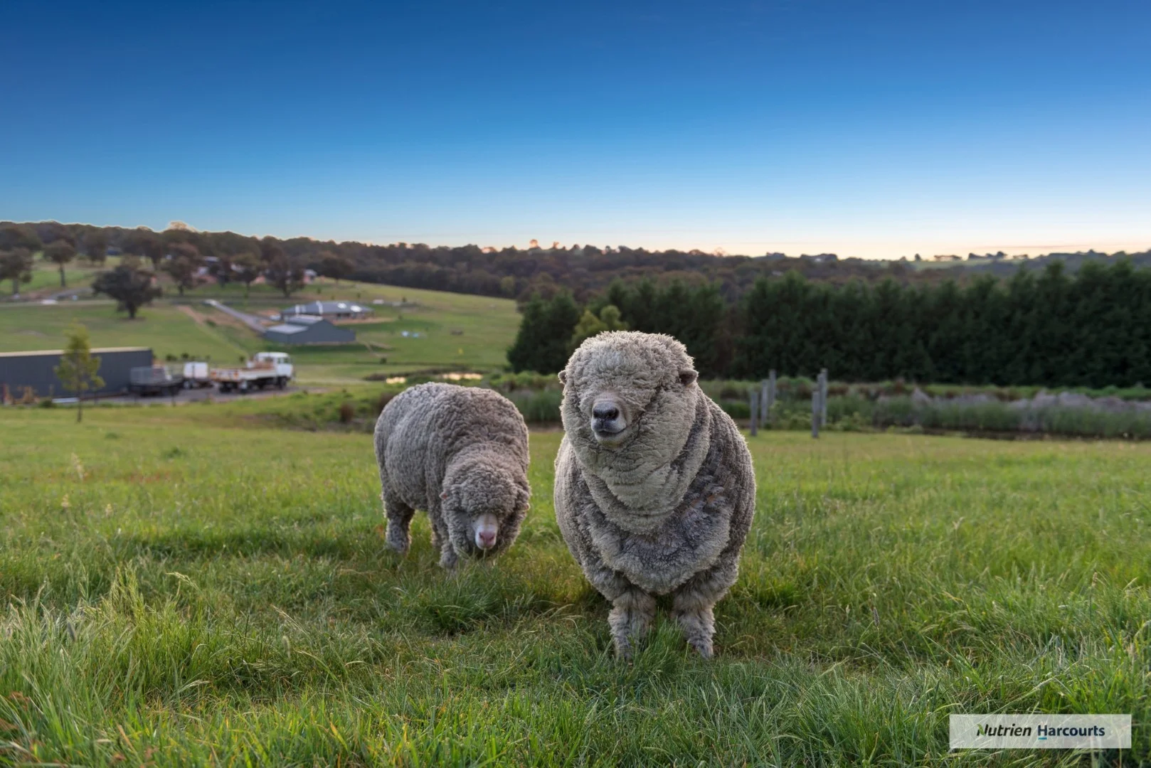 Additional image 20 of 1 Swan Court, Wandong VIC 3758