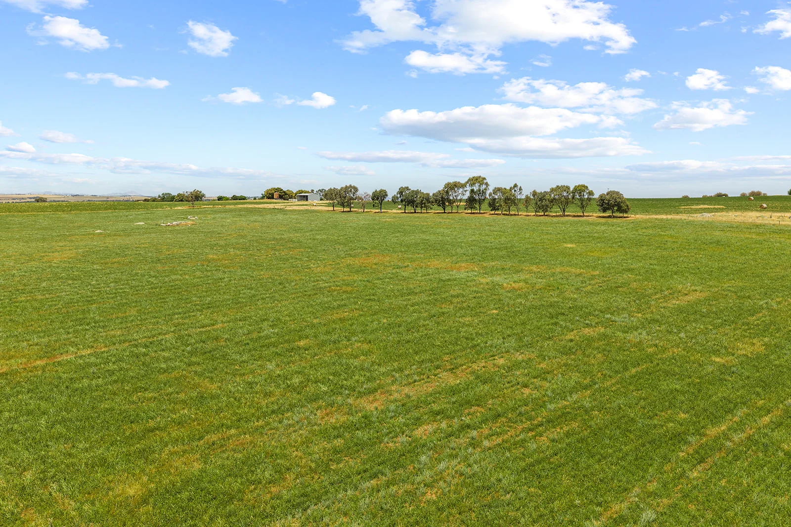 Additional image 19 of 215 Holman Road, Murrumburrah NSW 2587