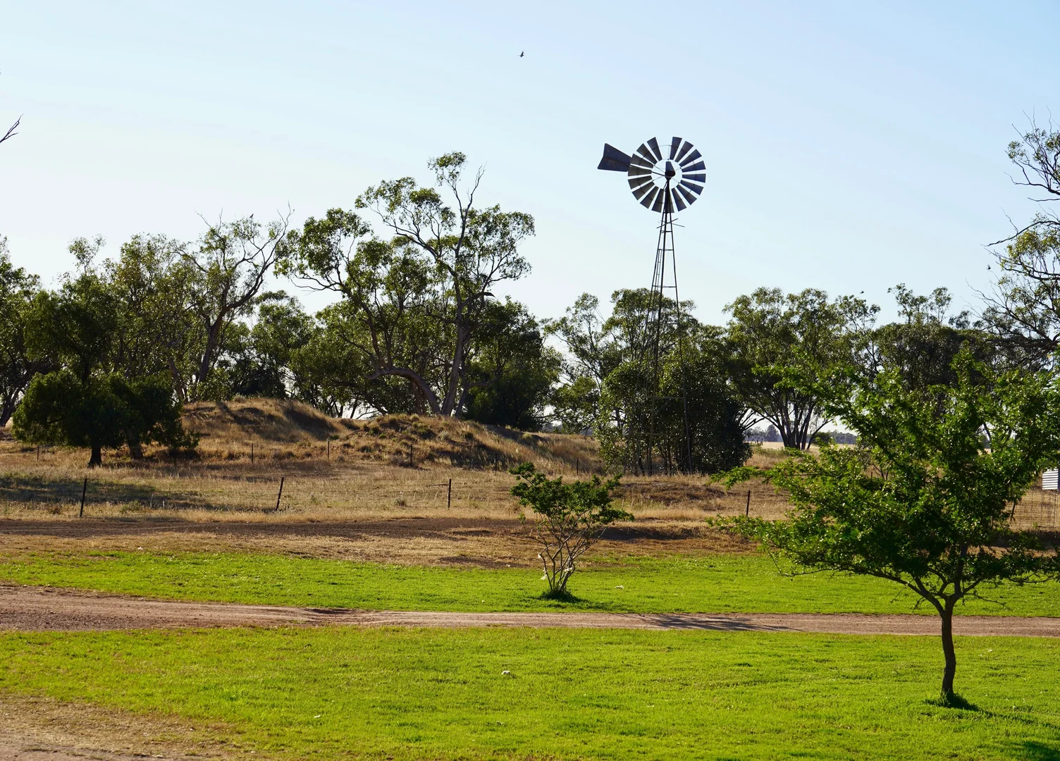 Additional image 30 of Buddabadah NSW 2825