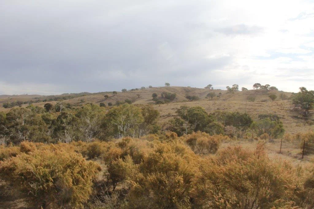 Additional image 7 of 2137 Kiowarrah Road, Bevendale NSW 2581