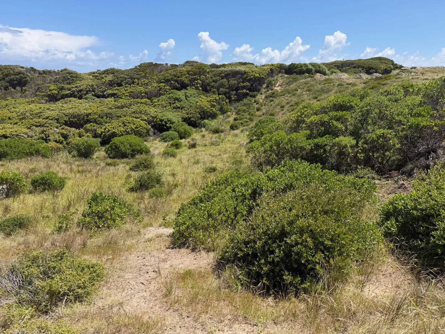 Additional image 3 of 20 Elginshore Drive, Currie TAS 7256