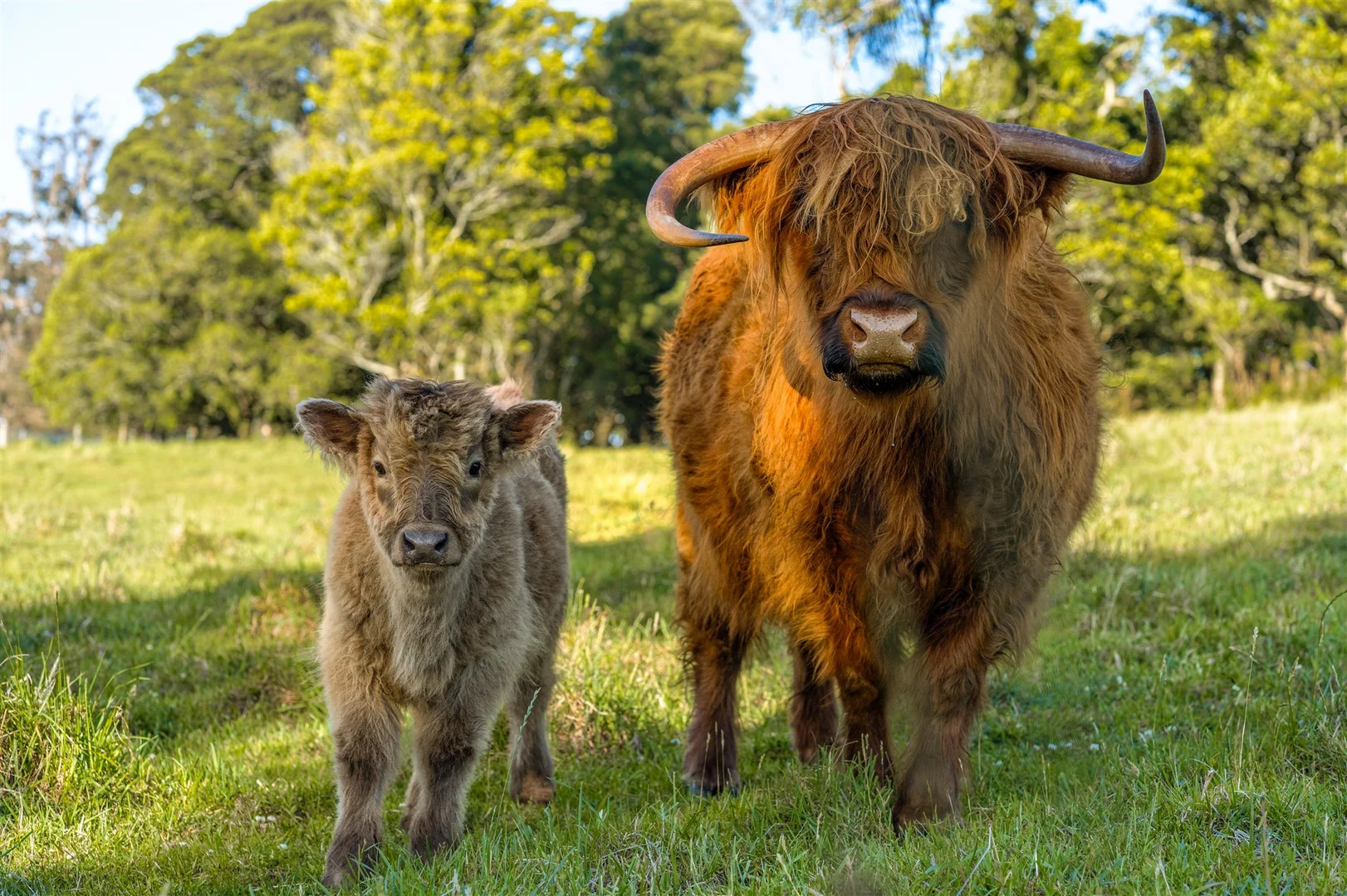 Additional image 22 of 4980 Illawarra Highway, Robertson NSW 2577