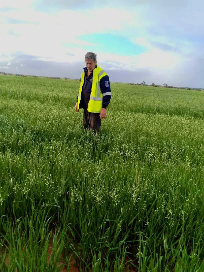 Additional image 28 of 1266 OTC Road, Wandana SA 5690