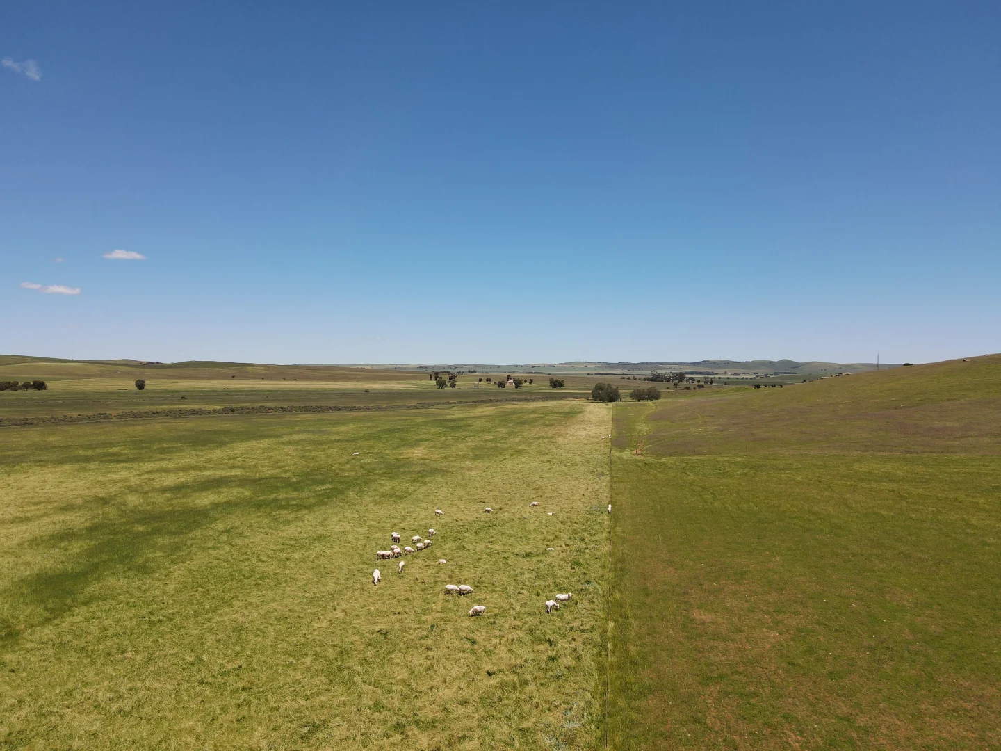 Additional image 10 of 1256 Belalie Rd, Canowie Belt SA 5420