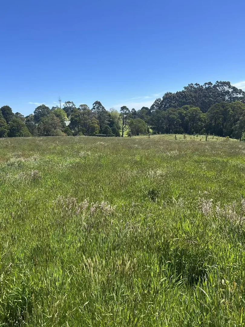 Additional image 8 of 18A Great Ocean Road, Lavers Hill VIC 3238