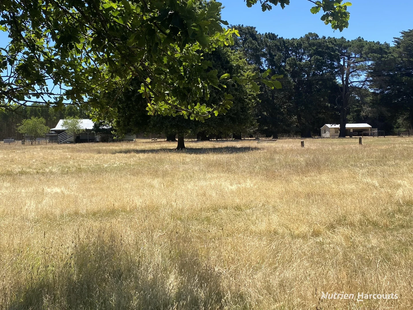 Additional image 20 of 674 Glenelg Highway, Casterton VIC 3311