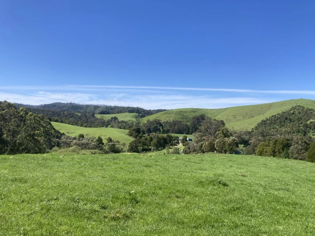 Additional image 5 of 465 Woomera Creek Rd, Toora North VIC 3962