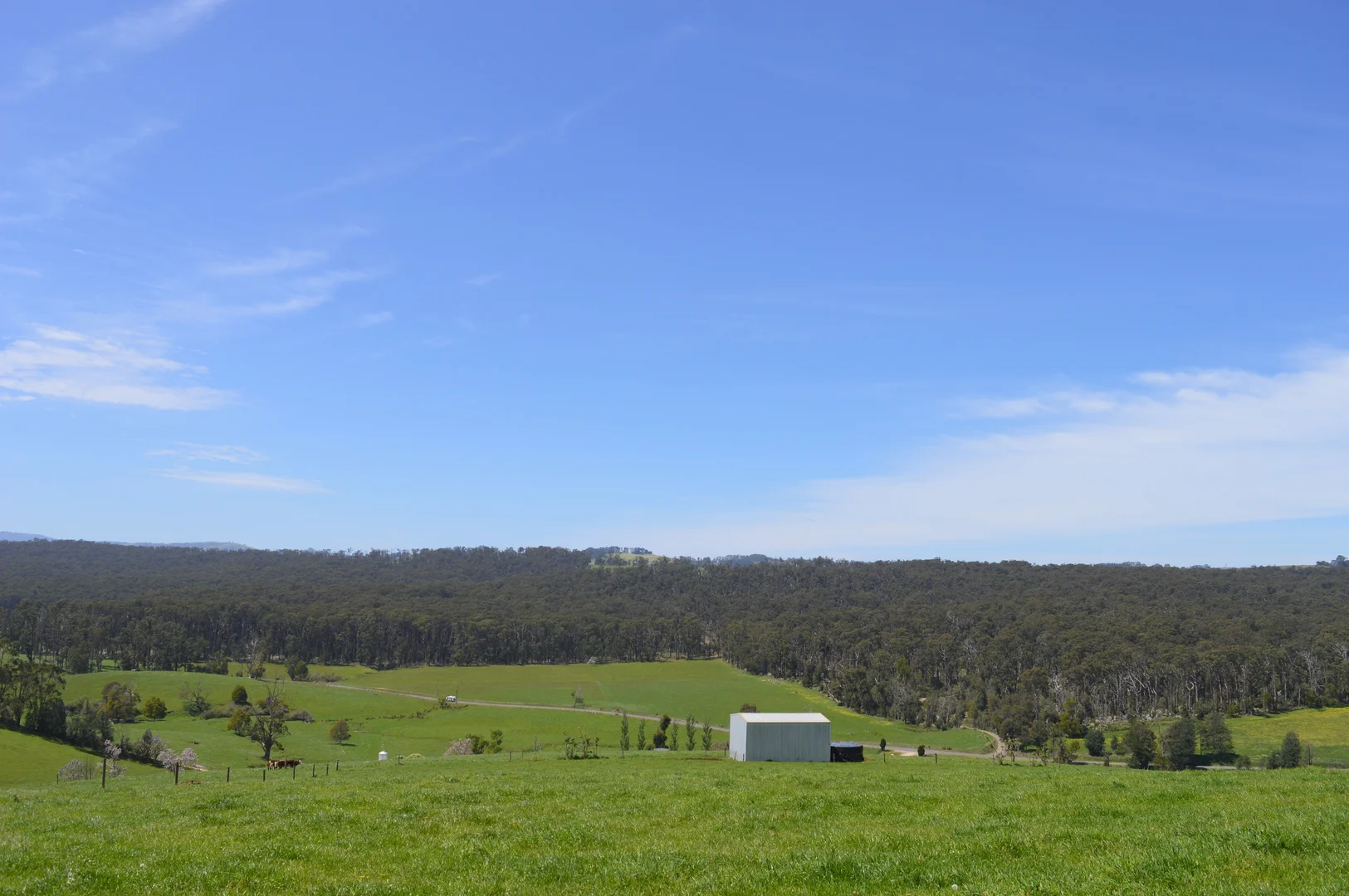 Additional image 34 of 365 Limonite Road, Boolarra South VIC 3870