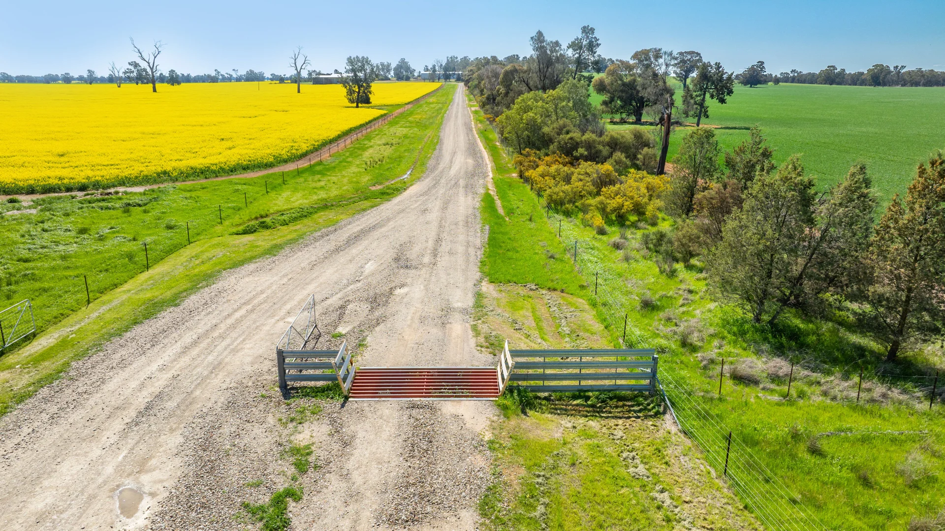 Additional image 42 of BOOROOL Mossdale Road, Balldale NSW 2646