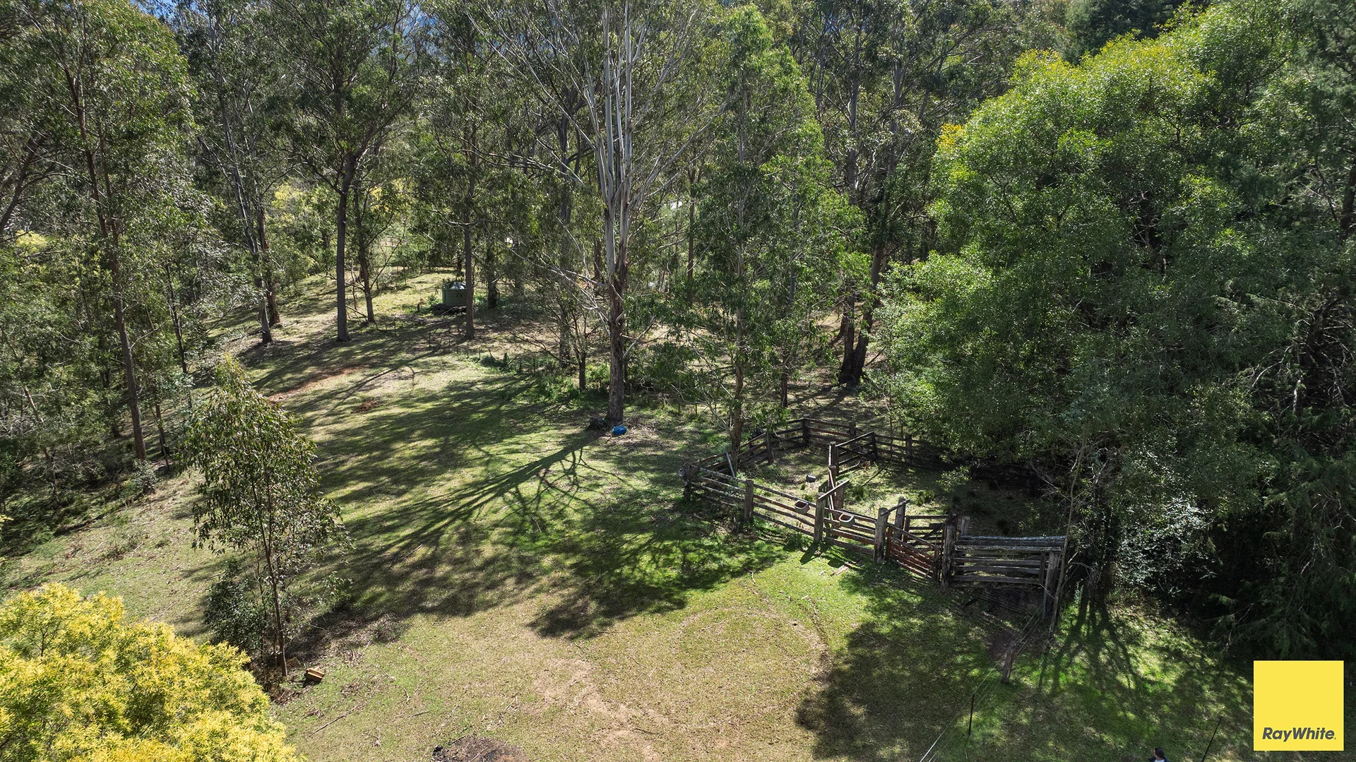 Additional image 32 of 8284 Armidale Road, Dorrigo NSW 2453