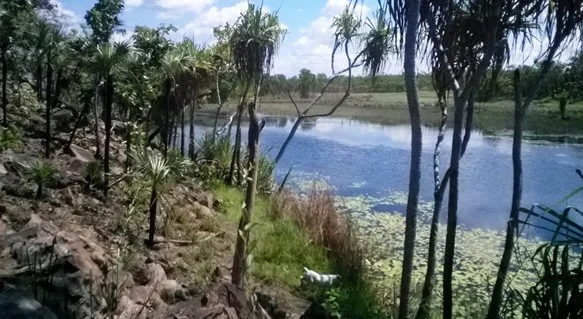 Additional image 18 of Darwin River NT 0841