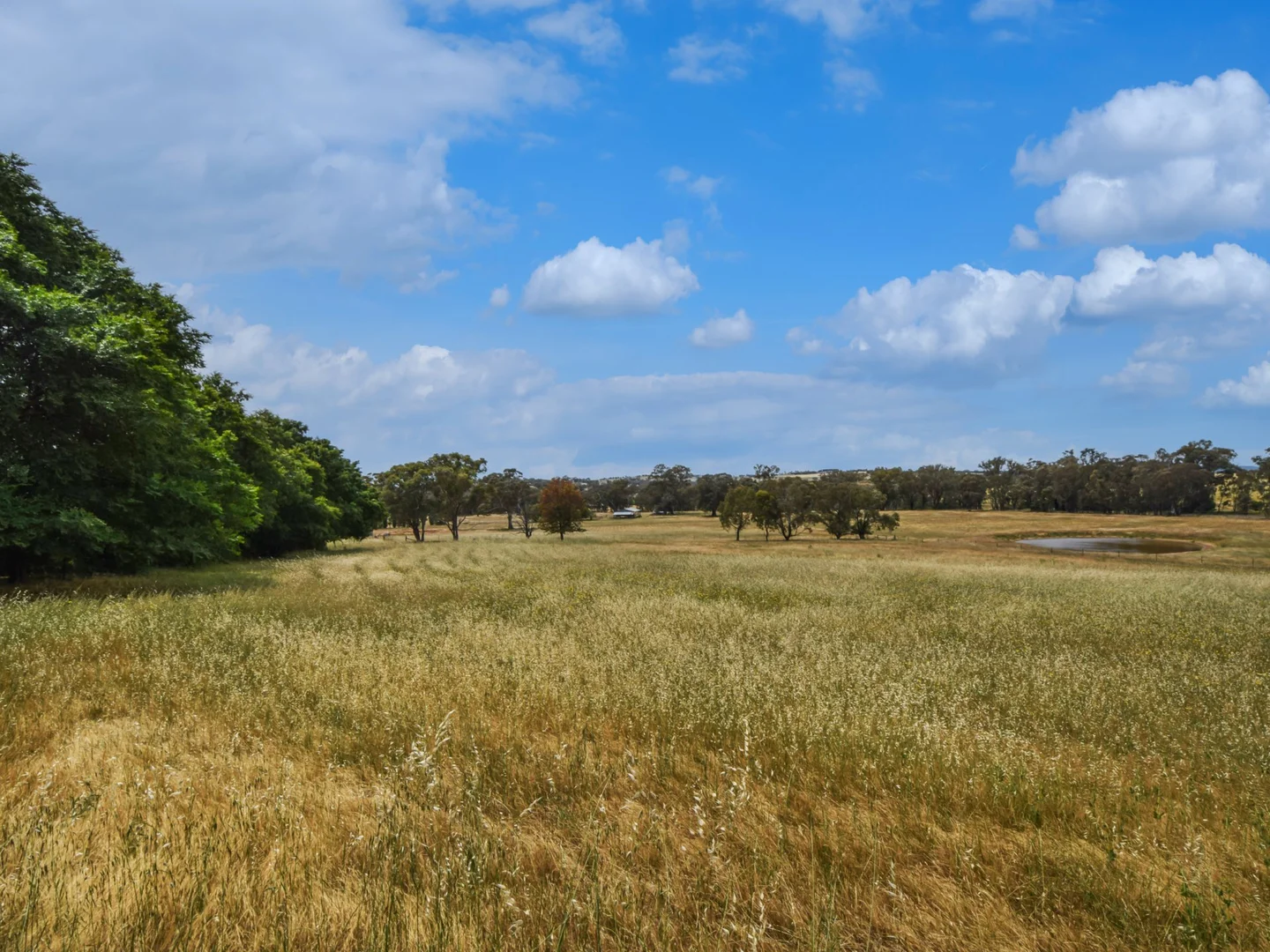 Additional image 46 of 20 Quamby SS Road, Young NSW 2594