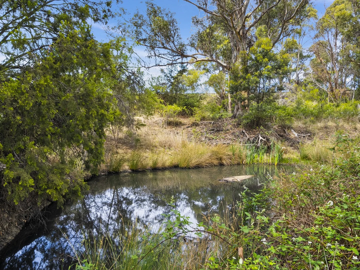 Additional image 9 of 1 Aldridge Road, Orielton TAS 7172