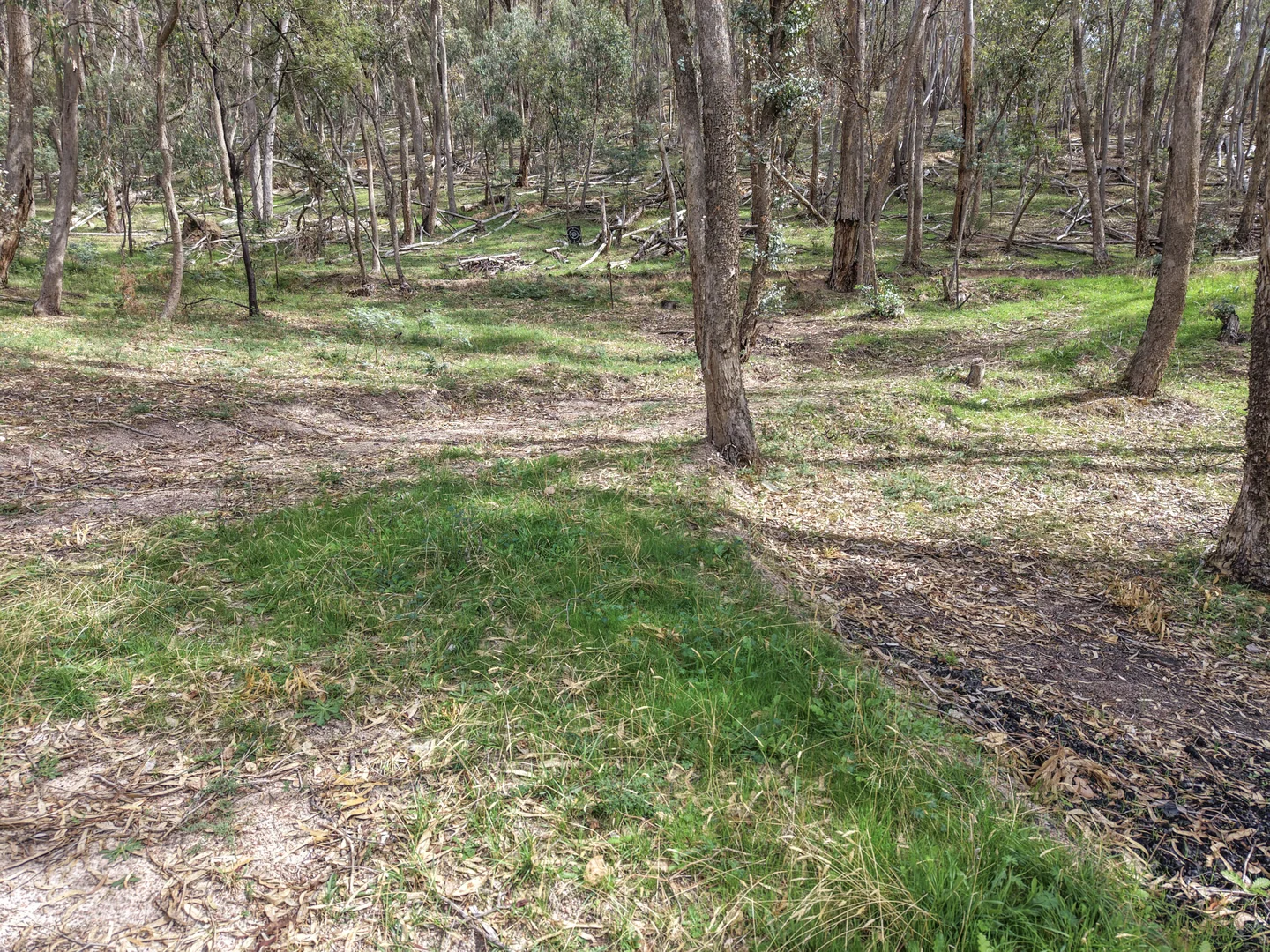 Additional image 27 of 14 Bluegum Crescent, Bonnie Doon VIC 3720