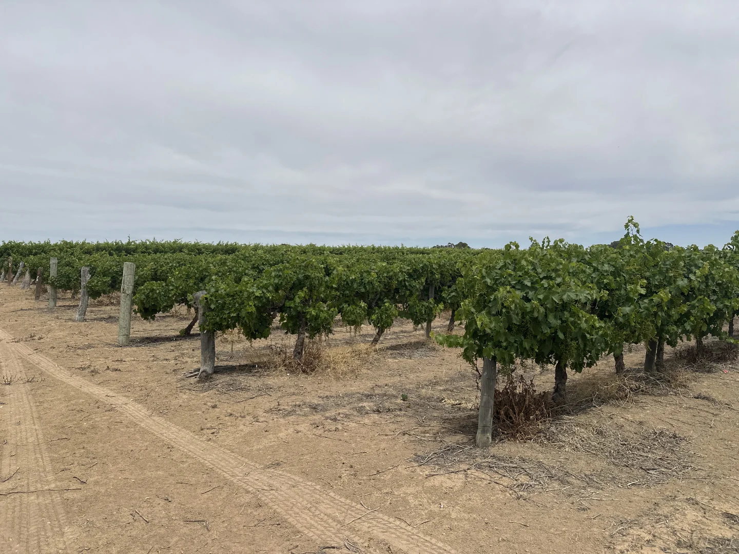 Additional image 7 of Lot 22 Brand Road, Cobdogla SA 5346