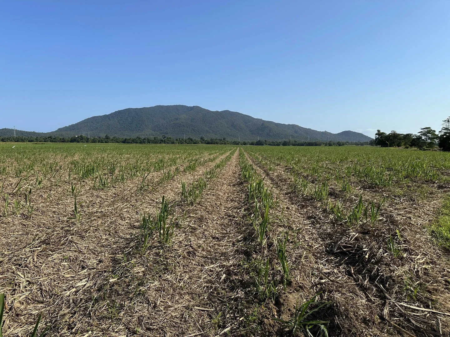 Lot 2 Broderick Road, Midgenoo QLD 4854