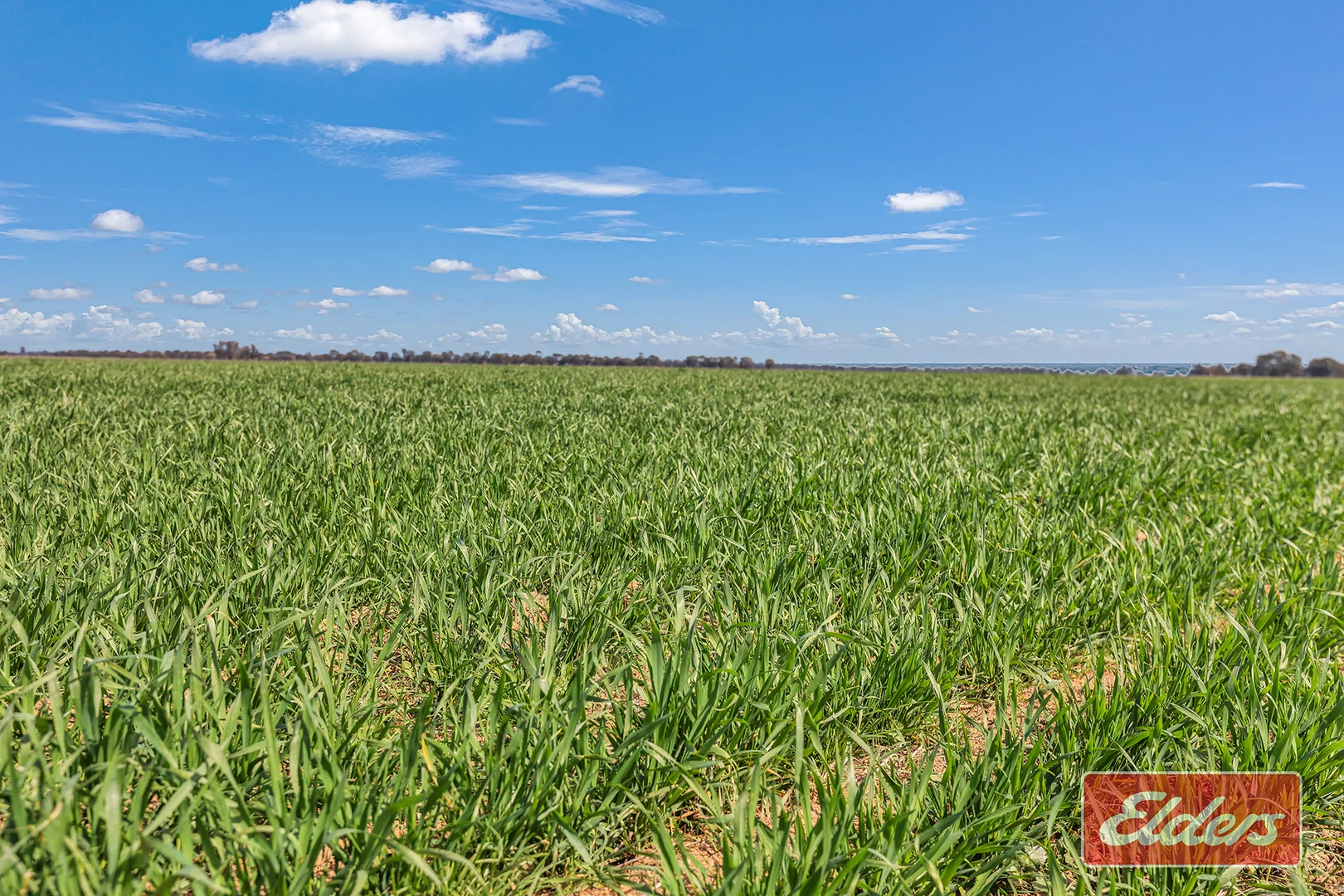 Additional image 4 of Graham Road, Koyuga VIC 3622