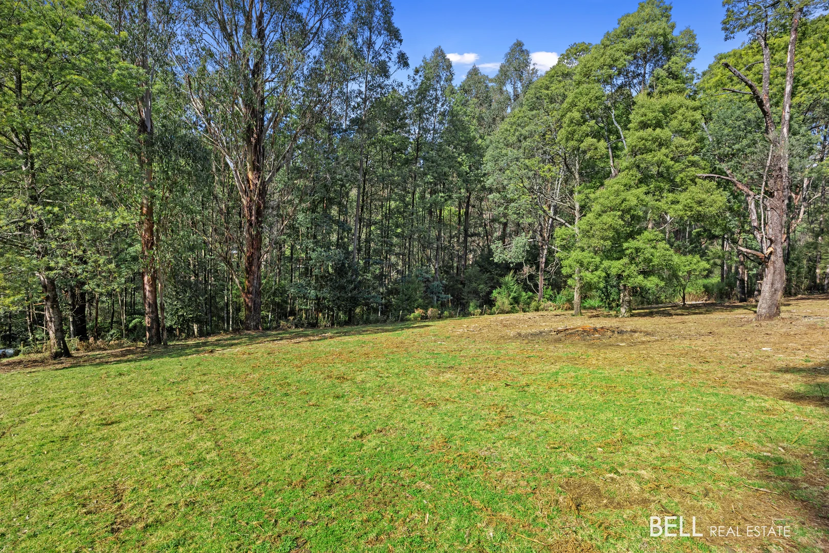 Additional image 3 of 555 Hazeldene Road, Gladysdale VIC 3797