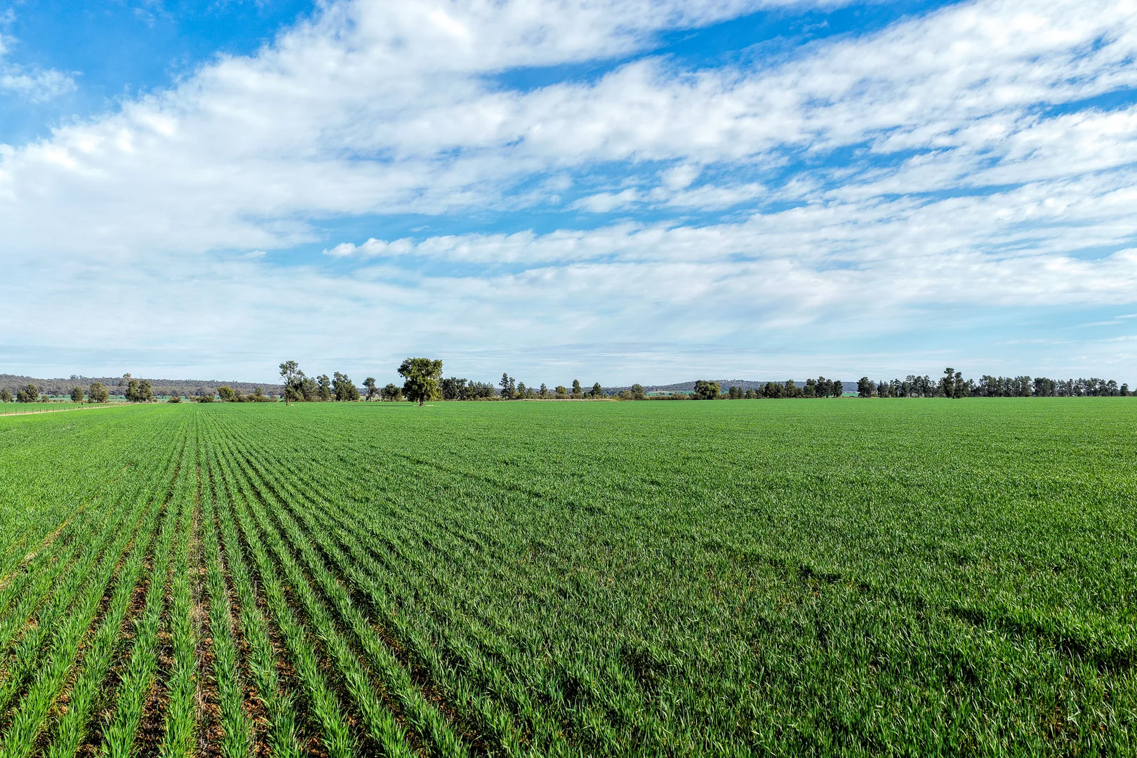 Additional image 6 of Weise Aggregation, Beckom, Ardlethan,, Ariah Park NSW 2665