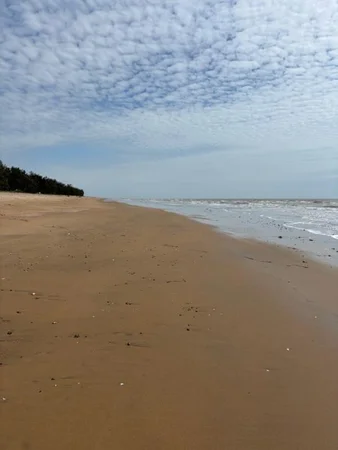 Additional image 5 of 16 Medinah Court, Balgal Beach QLD 4816